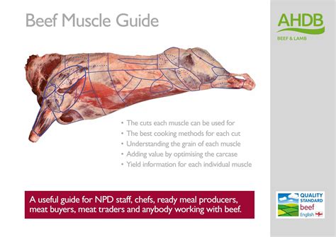 Muscle Meat est. 2013 (@musclemeatnl) • Instagram photos and .